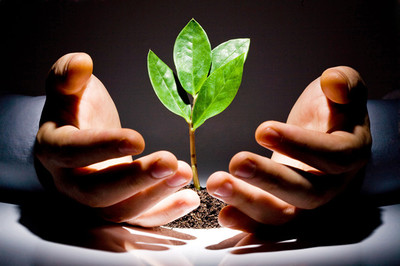 廣東規模領先的廣州婚姻咨詢公司——清意雅素商務服務